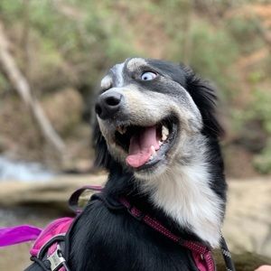 Meet your Posher, Lisa